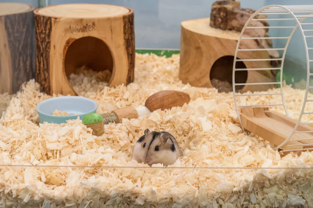 Hamster in cage with wooden structures.